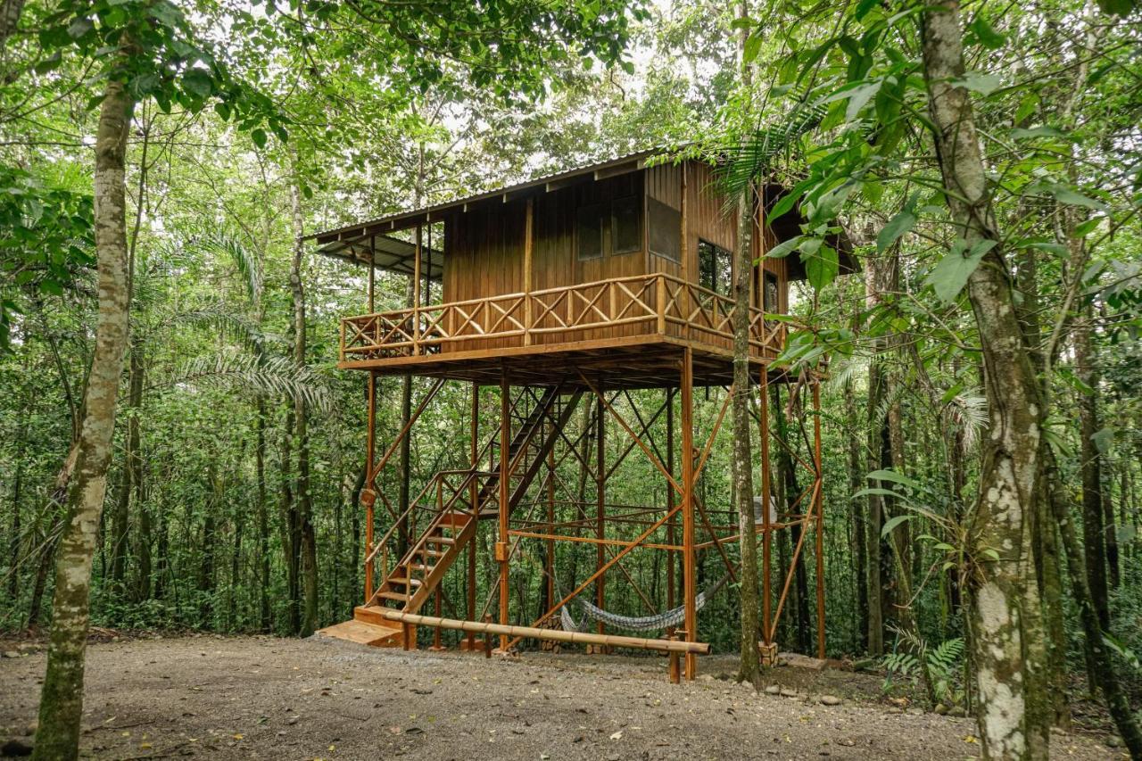 Tree Houses Hotel Costa Rica Florencia 外观 照片